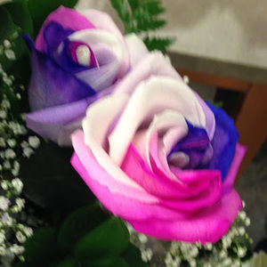 Meet your Posher, Kailey